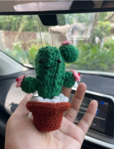 Finally here is the complete Crochet mini Cactus toy